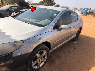 Peugeot 407