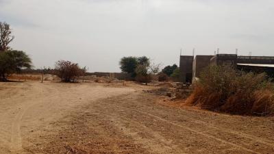 Terrain 300 mètres carrés à vendre à Ndiorokh 