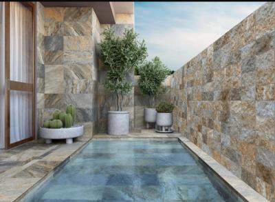 carreaux piscine européens
