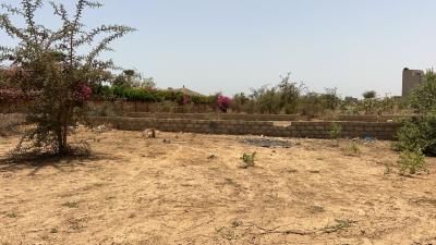 Terrain 300 mètres carrés à vendre à Saly Sén