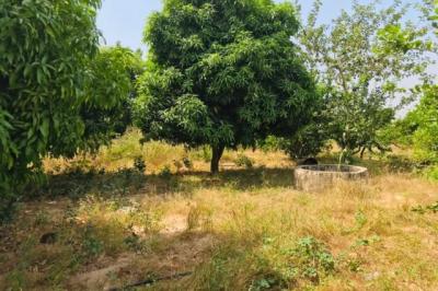 Ferme Avicole de 5260 m² vers Fandene