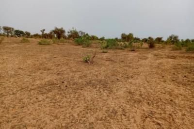 Terrain de 1 hectare vers Khombole