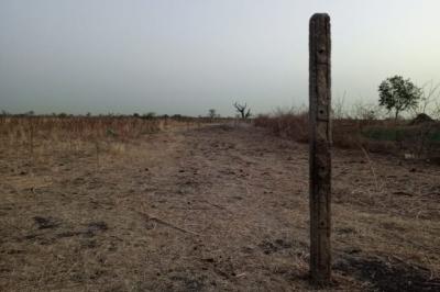 Terrain de 1 hectare vers Nguéniène