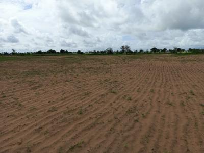 Terrain de 1 hectare vers Tassette