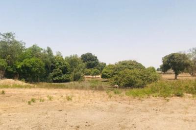 Terrain de 1,04 hectare vers Diossong
