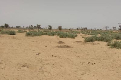 Terrain de 1,09 hectare vers Sindia