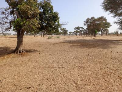 Terrain de 1,18 hectare vers Tassette