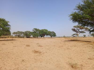 Terrain de 1,18 hectare vers Tassette