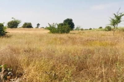 Terrain de 1,18 hectare vers Tassette
