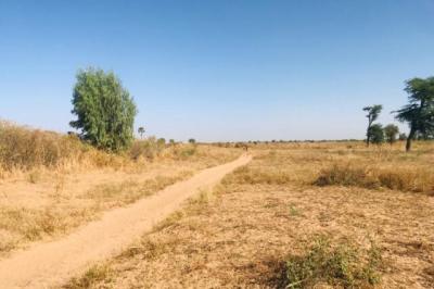 Terrain de 1,21 hectare vers Notto Diobass