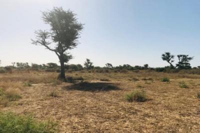 Terrain de 1,21 hectare vers Notto Diobass