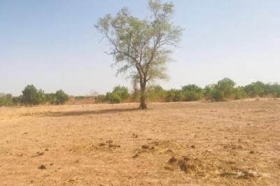 Terrain de 1,23 hectare vers Koungheul