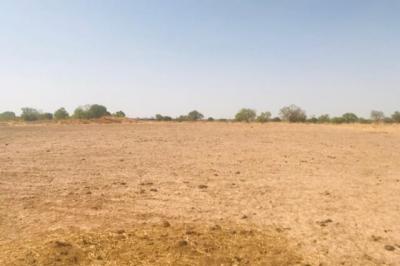 Terrain de 1,23 hectare vers Koungheul