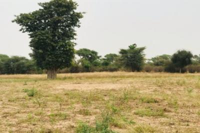 Terrain de 1,26 hectare vers Méouane