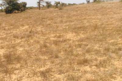Terrain de 1,27 hectare vers Mont Rolland