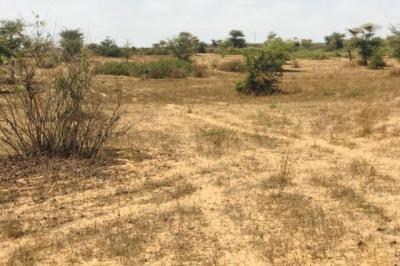 Terrain de 1,27 hectare vers Mont Rolland