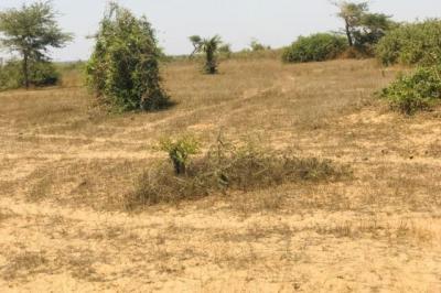 Terrain de 1,27 hectare vers Mont Rolland