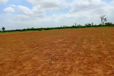Terrain de 1,27 hectare vers Notto Diobass