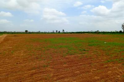Terrain de 1,27 hectare vers Notto Diobass