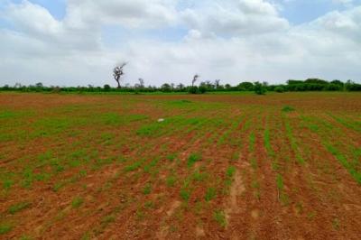 Terrain de 1,27 hectare vers Notto Diobass