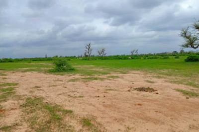 Terrain de 1,27 hectare vers Notto Diobass