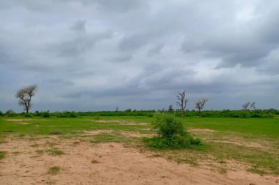 Terrain de 1,27 hectare vers Notto Diobass