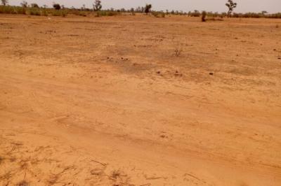 Terrain de 1,27 hectare vers Notto Diobass