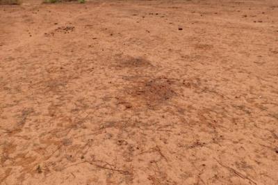 Terrain de 1,27 hectare vers Notto Diobass