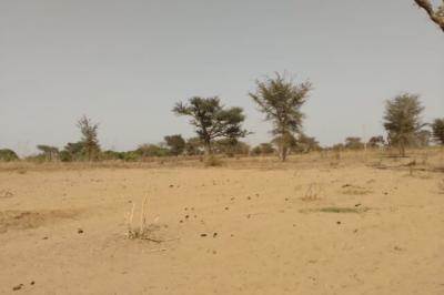 Terrain de 1,27 hectare vers Sindia