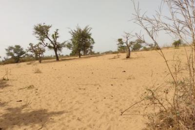 Terrain de 1,27 hectare vers Sindia