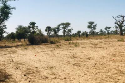 Terrain de 1,29 hectare vers Notto Diobass
