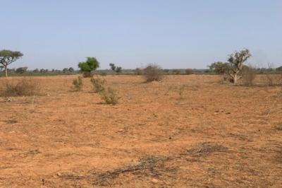 Terrain de 1,30 hectare vers Notto Diobass