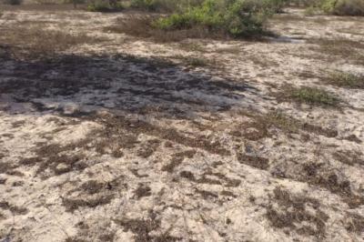 Terrain de 1,32 hectare vers Taïba Ndiaye