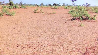Terrain de 1,34 hectare à Ndiéyene Sirakh