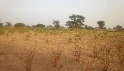 Terrain de 1,34 hectare vers Sindia