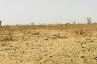 Terrain de 1,41 hectare vers Nguéniène