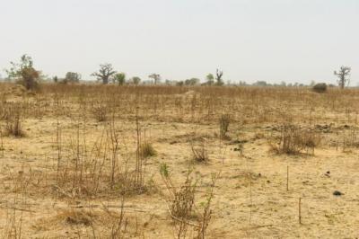 Terrain de 1,41 hectare vers Nguéniène