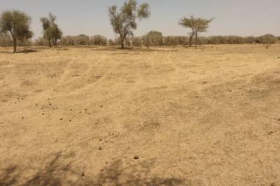 Terrain de 1,43 Hectare vers Sagata