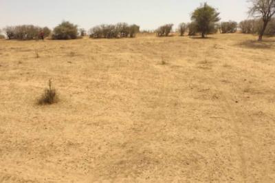 Terrain de 1,43 Hectare vers Sagata