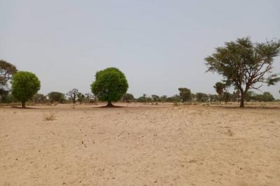 Terrain de 1,58 hectare vers Tassette