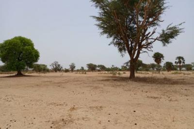 Terrain de 1,58 hectare vers Tassette