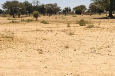 Terrain de 1,5 hectare Vers Ngoundiane