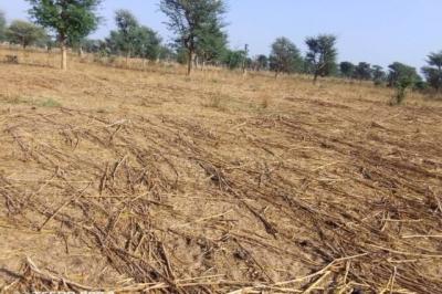 Terrain de 1,5 hectare vers Notto Diobass