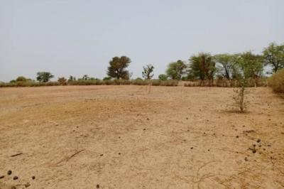 Terrain de 1,52 hectare vers Tassette