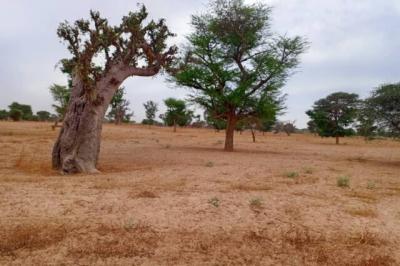 Terrain de 1,54 hectare vers Tassette