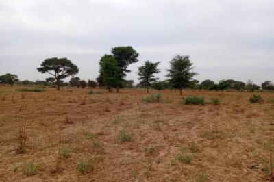 Terrain de 1,54 hectare vers Tassette