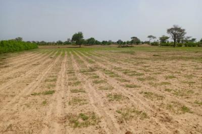 Terrain de 1,75 hectare vers Tassette