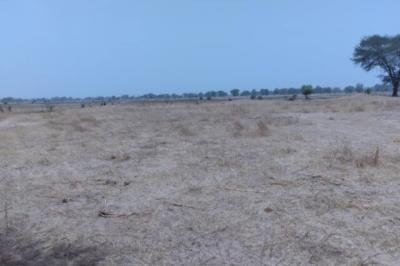 Terrain de 1,73 hectare vers Niakhar