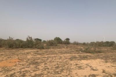 Terrain de 1,72 hectare vers Taiba Ndiaye