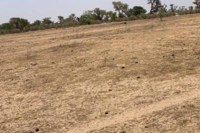 Terrain de 1,72 hectare vers Notto Diobass